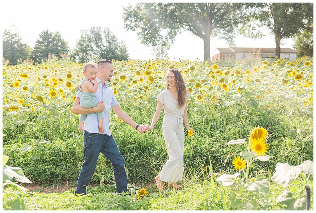 A family of three in a sunflower field. Best Richmond locations for portraits.