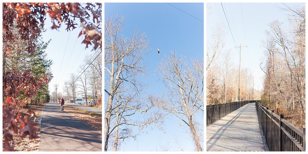 Scenes from the Fall Line Trail in Ashland, Virginia.